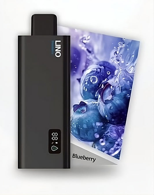 LINO ブルーベリー 使い捨て